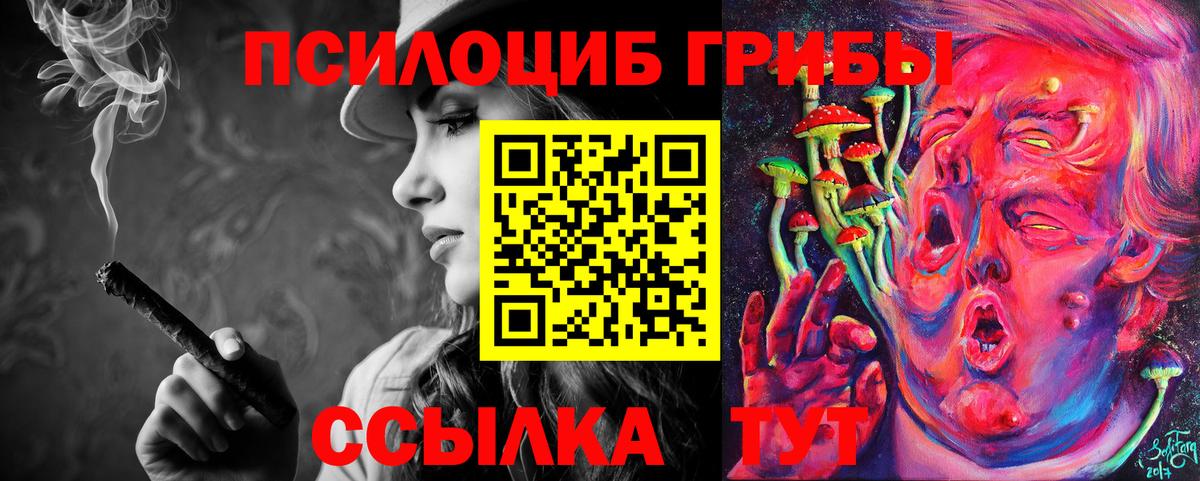 Псилоцибиновые грибы MAGIC MUSHROOMS Киселёвск
